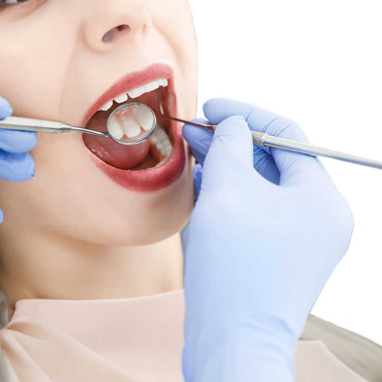 Endodoncia