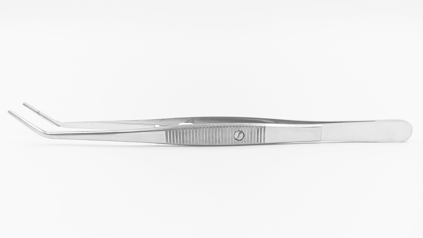 Pinza de Gutapercha