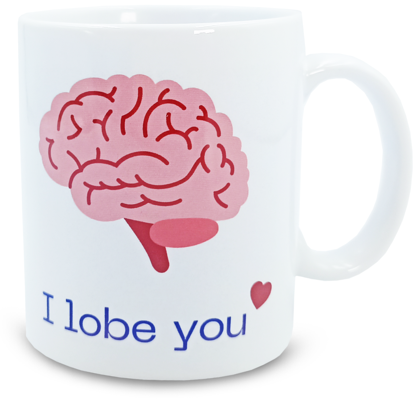 Taza Lobe Cerebro