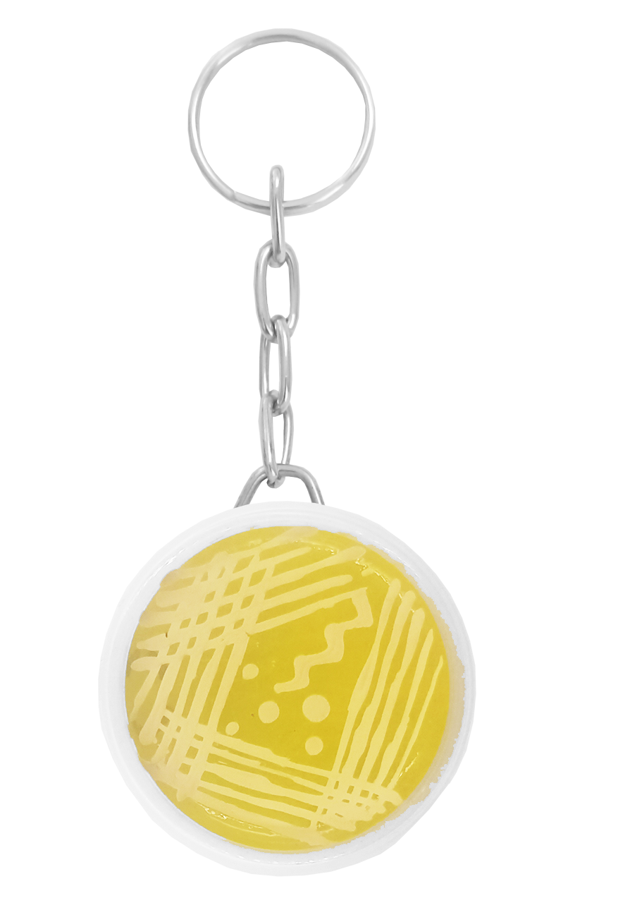 Llavero Agar Amarillo Estrias Amarillo