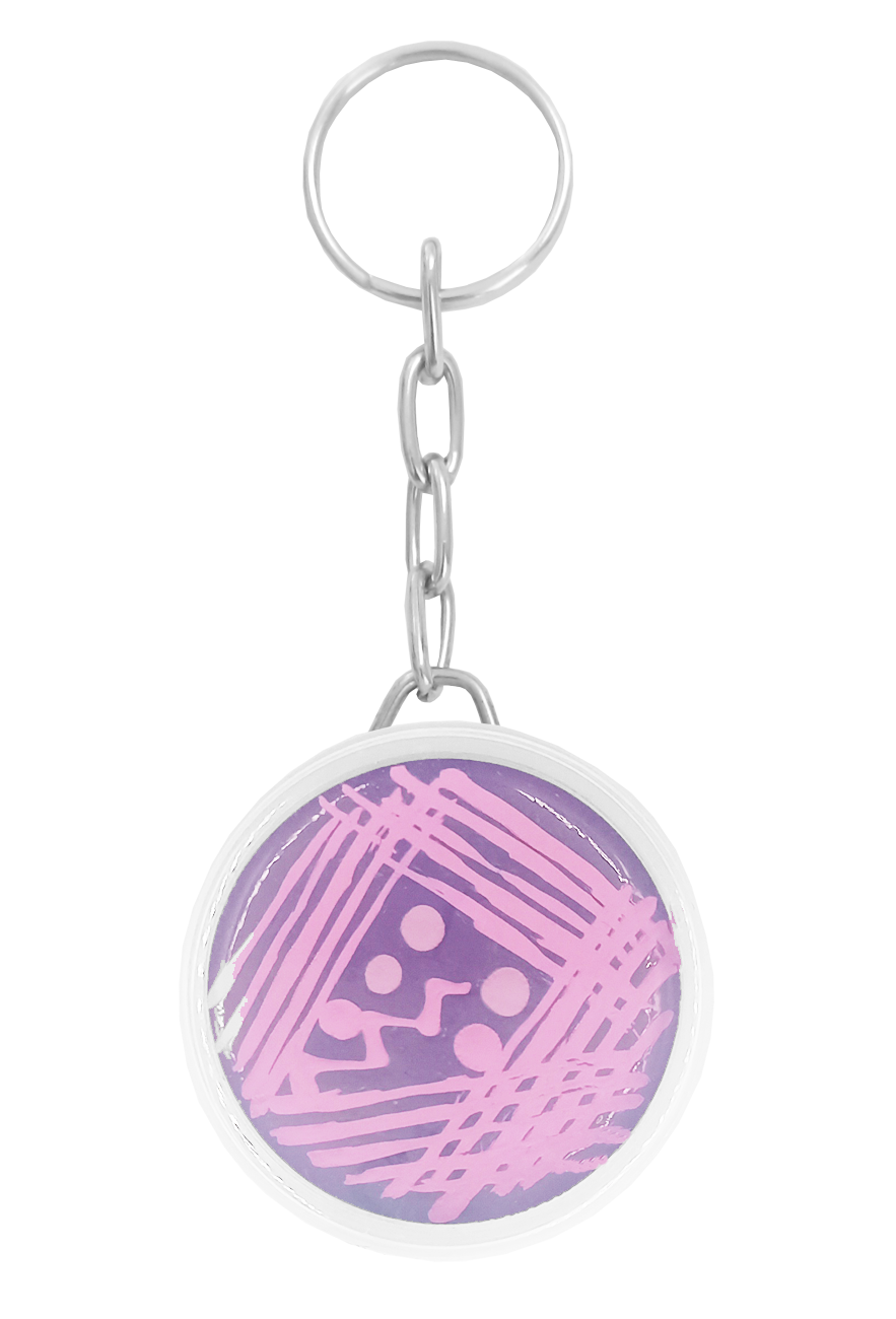 Llavero Agar Morado Estrias Morado