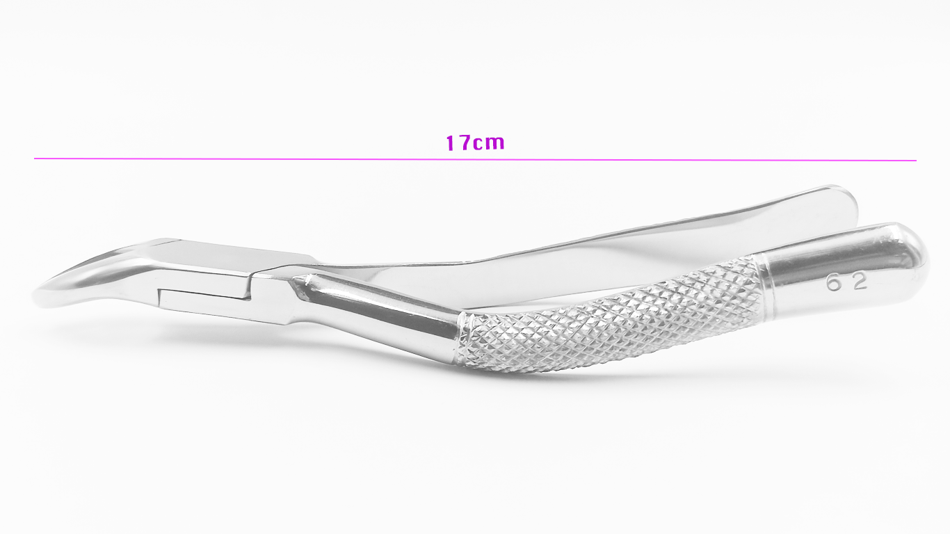 Extraction Forceps 62 04-009