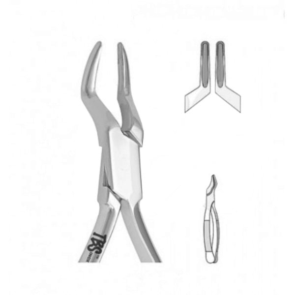 Forceps 65 de extracción para incisivos y raices superiores