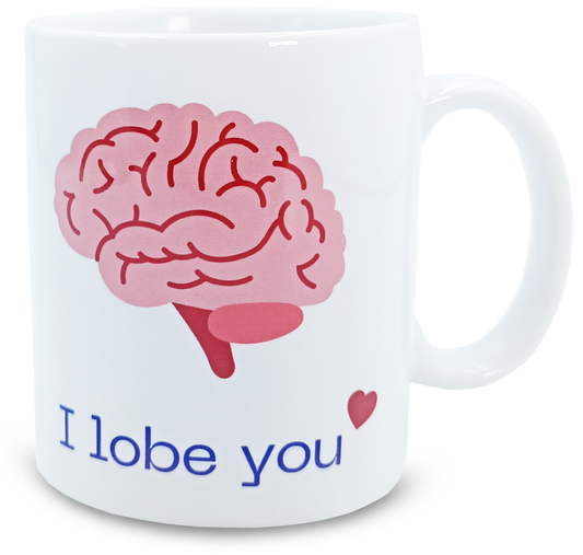 Taza Lobe Cerebro