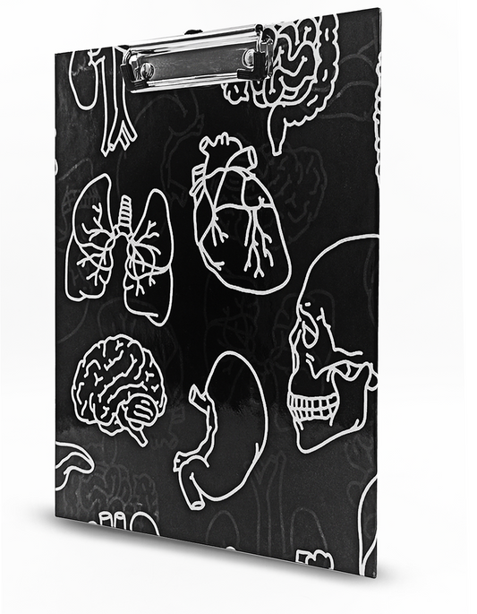 Tabla porta papel órganos