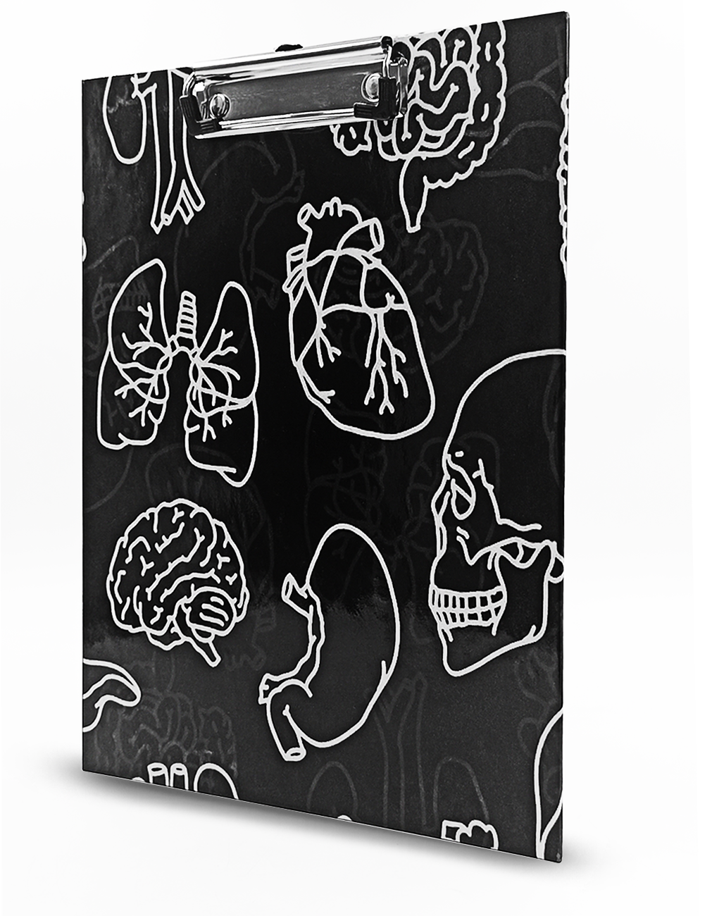 Tabla porta papel órganos